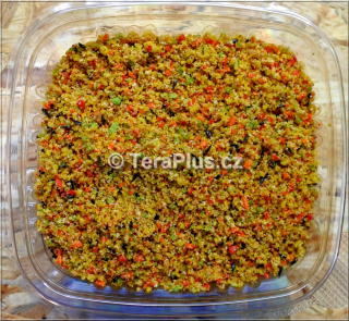 TeraPlus Premium INC Menu - 1250 ml
