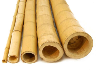 TeraPlus Bambusová tyč průměr 6 cm, délka 50 cm